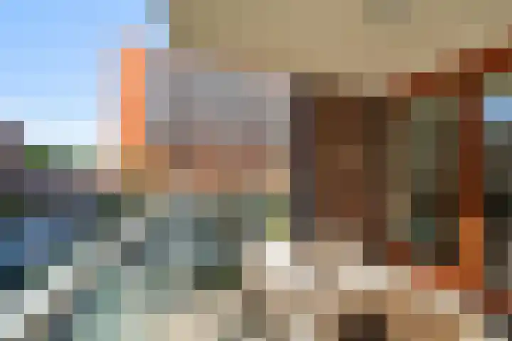 Koningslaan 229 Rotterdam thumbnail 20