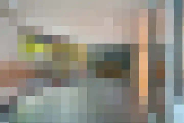Koningslaan 229 Rotterdam thumbnail 39