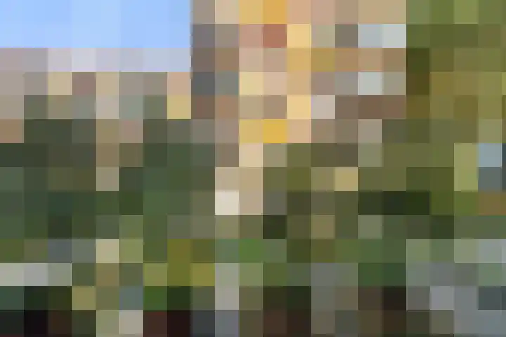 Koningslaan 229 Rotterdam thumbnail 44