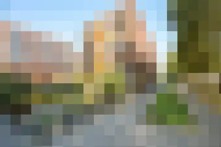 Koningslaan 229 Rotterdam thumbnail 45
