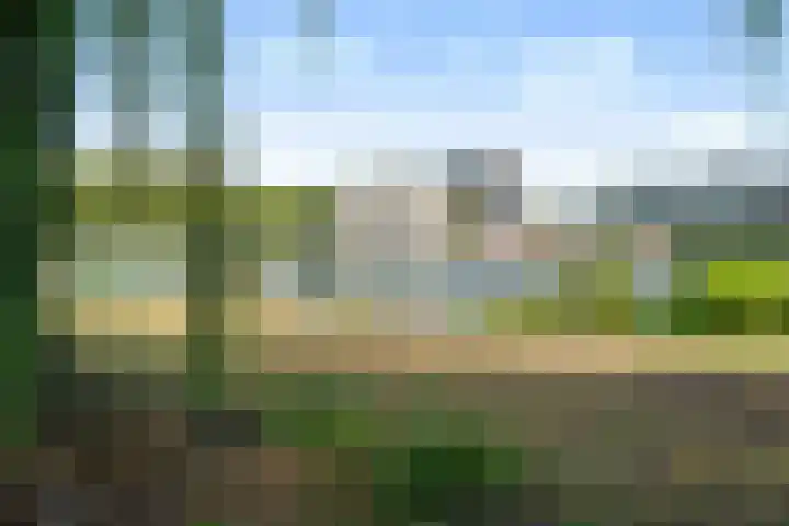 Koningslaan 229 Rotterdam thumbnail 47