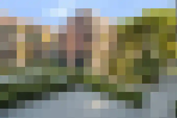 Koningslaan 229 Rotterdam thumbnail 49