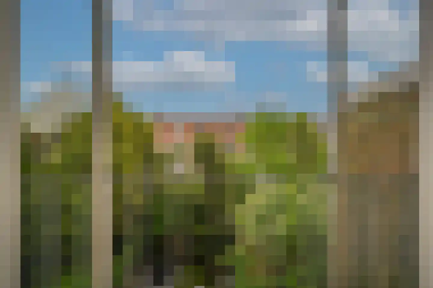 Koningslaan 23 A Utrecht thumbnail 15