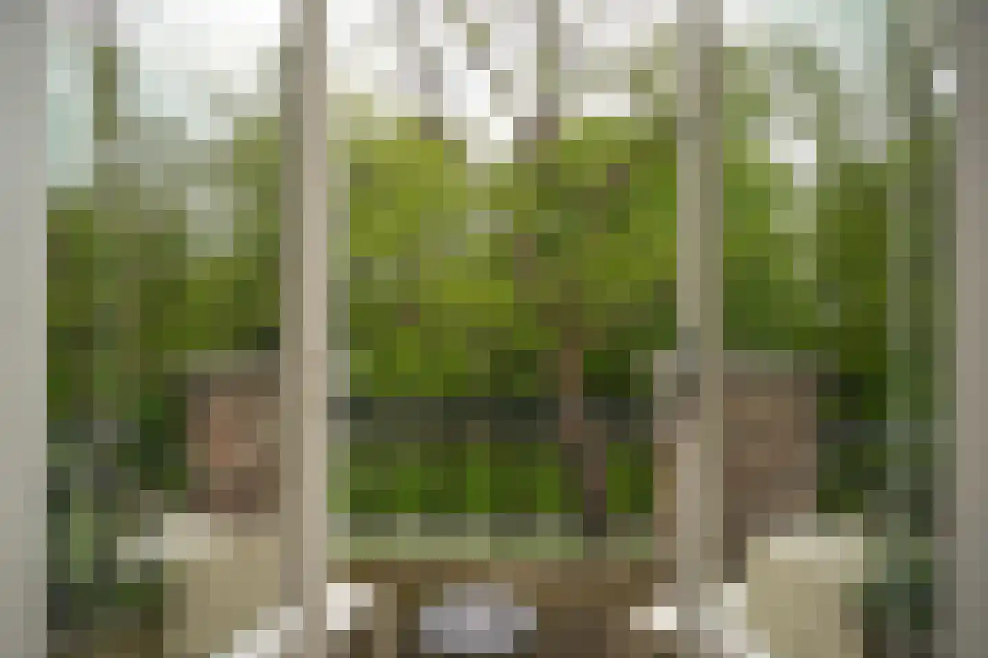 Koningslaan 23 A Utrecht thumbnail 8