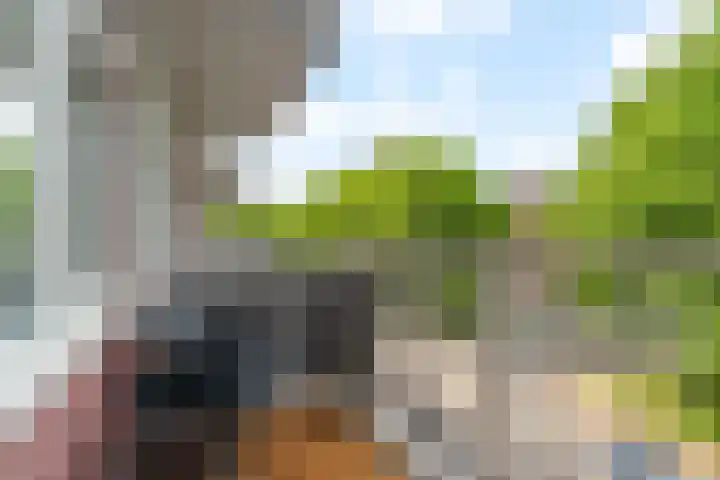 Koningslaan 246 Rotterdam thumbnail 12