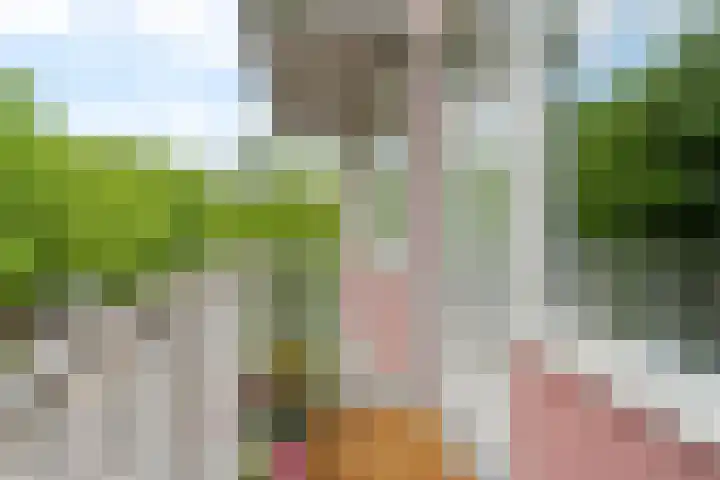 Koningslaan 246 Rotterdam thumbnail 13
