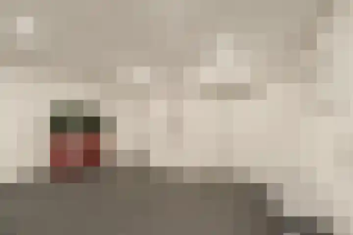 Koningslaan 246 Rotterdam thumbnail 24