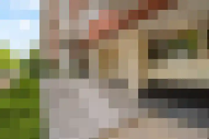 Koningslaan 246 Rotterdam thumbnail 26