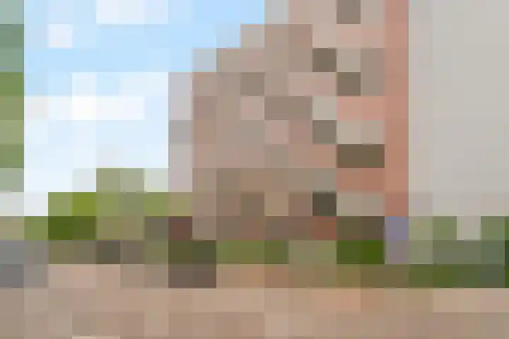 Koningslaan 246 Rotterdam thumbnail 29