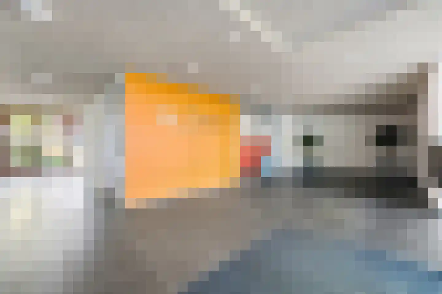 Koningslaan 263 Rotterdam thumbnail 32