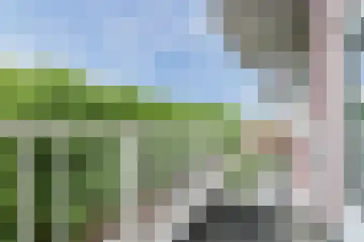 Koningslaan 280 Rotterdam thumbnail 5