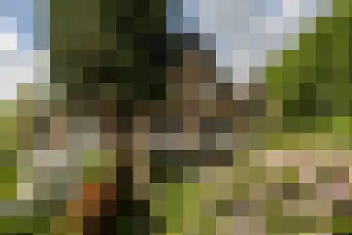 Koningslaan 3 Bussum