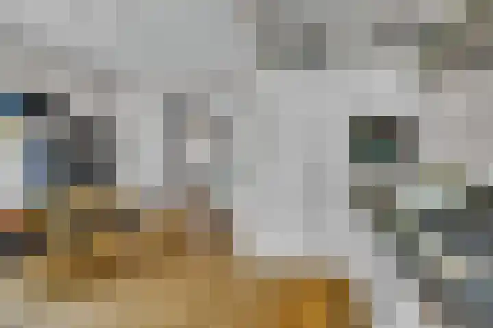 Koningslaan 3 Bussum thumbnail 15