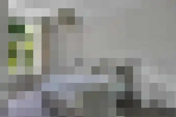 Koningslaan 3 Bussum thumbnail 18
