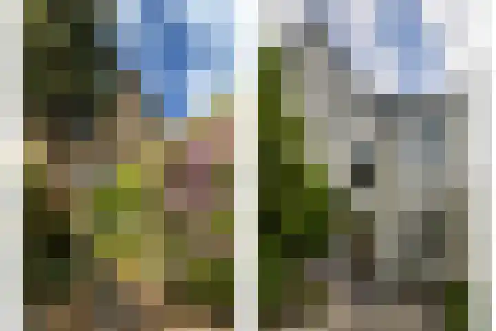 Koningslaan 3 Bussum thumbnail 29
