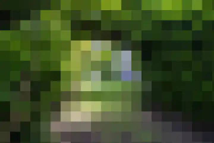 Koningslaan 3 Bussum thumbnail 31