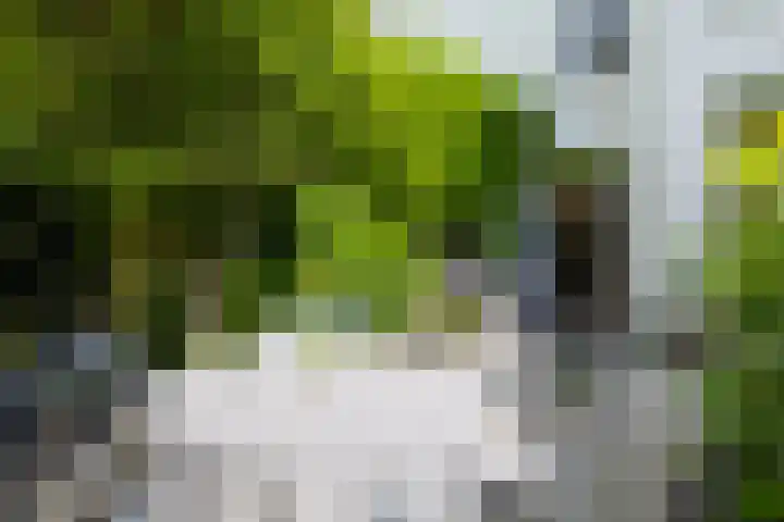 Koningslaan 3 Bussum thumbnail 32
