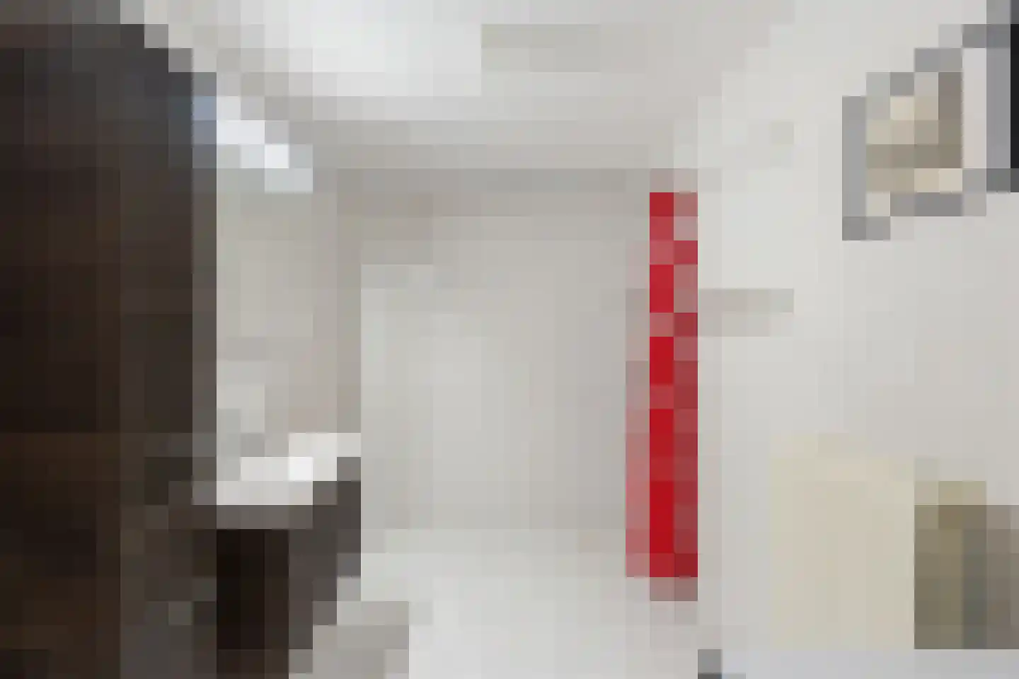 Koningslaan 314 Rotterdam thumbnail 25
