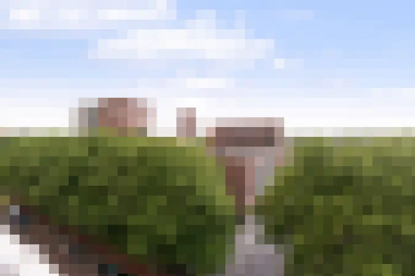 Koningslaan 314 Rotterdam thumbnail 31