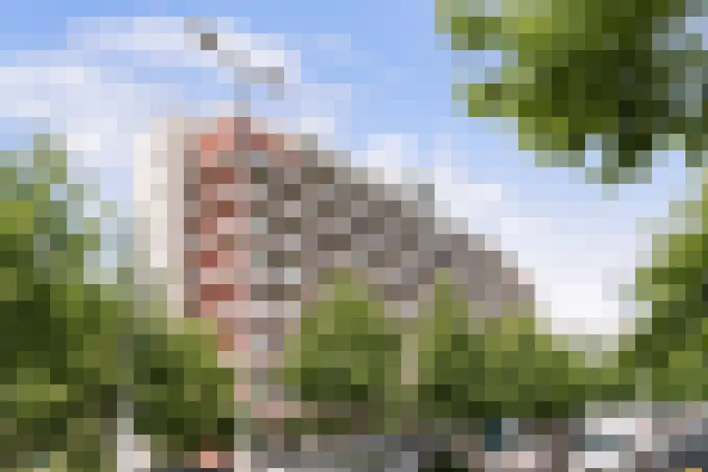 Koningslaan 314 Rotterdam thumbnail 38