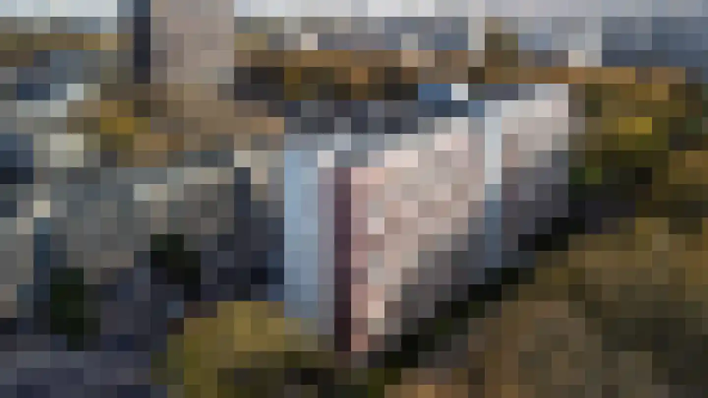 Koningslaan 326 Rotterdam thumbnail 35