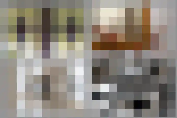 Koningslaan 45 A Bussum thumbnail 11