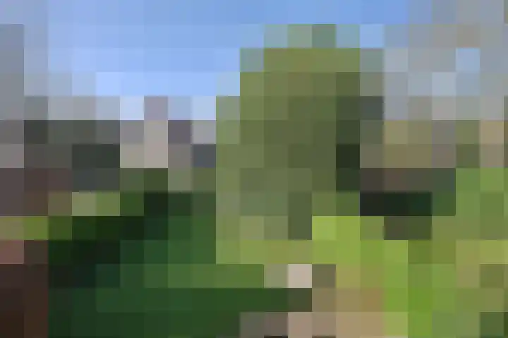 Koningslaan 45 A Bussum thumbnail 38