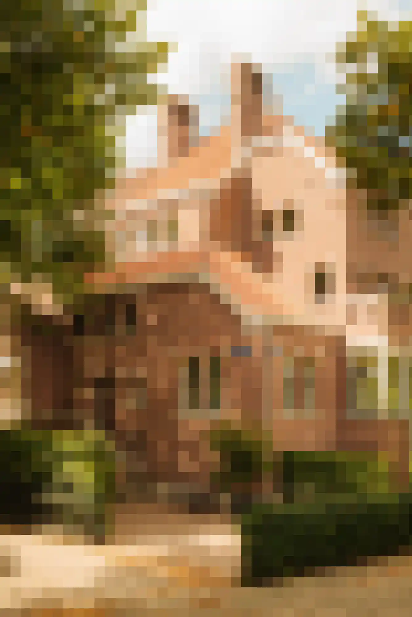 Koningslaan 54 Amsterdam thumbnail 53