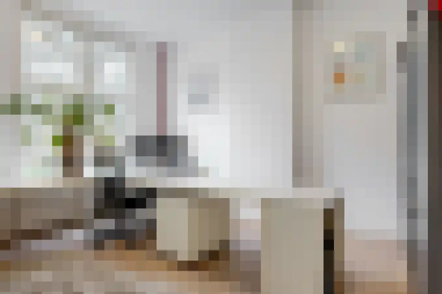 Koningslaan 60 Utrecht thumbnail 10