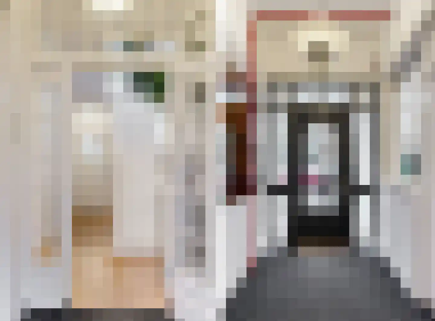 Koningslaan 60 Utrecht thumbnail 4