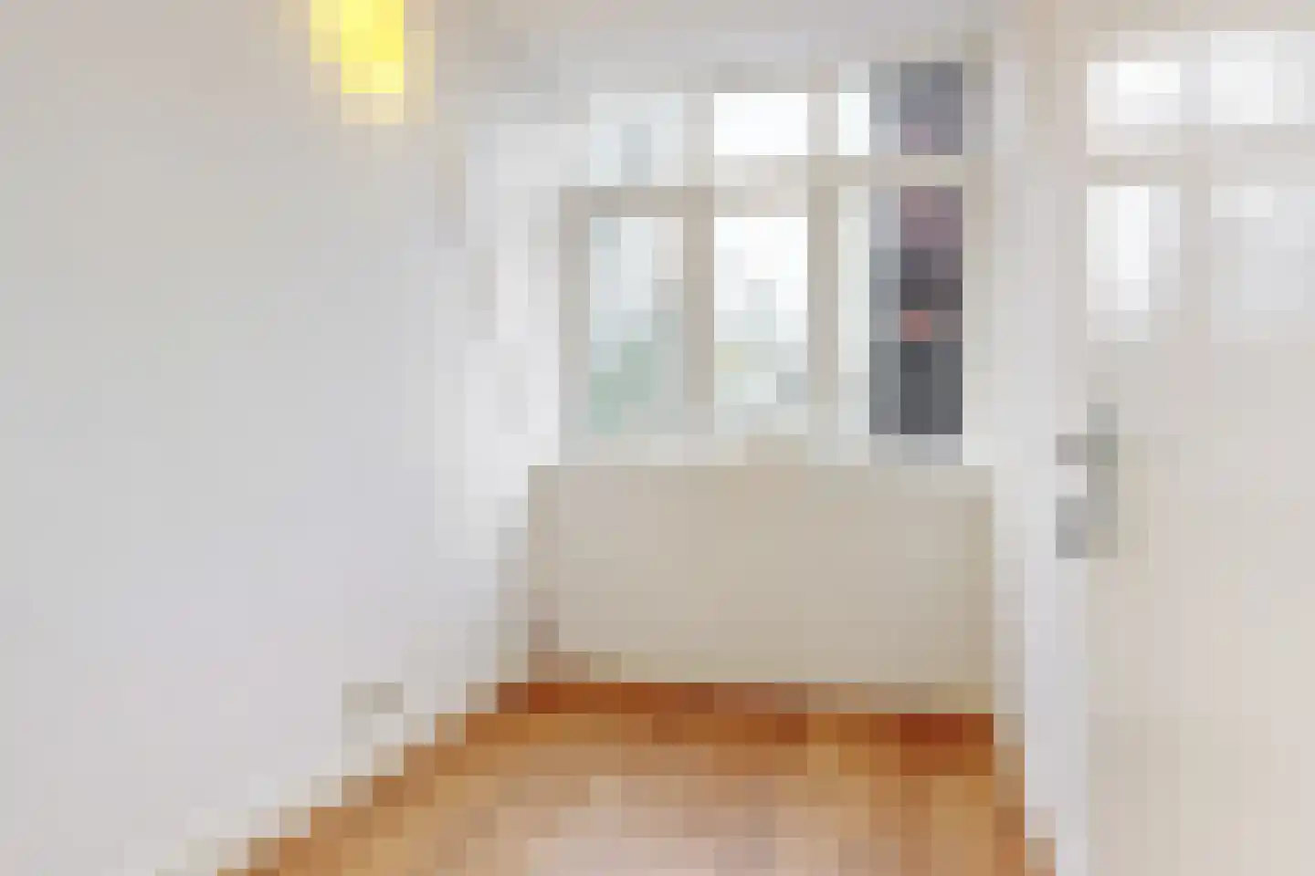 Koningslaan 60 Utrecht thumbnail 41