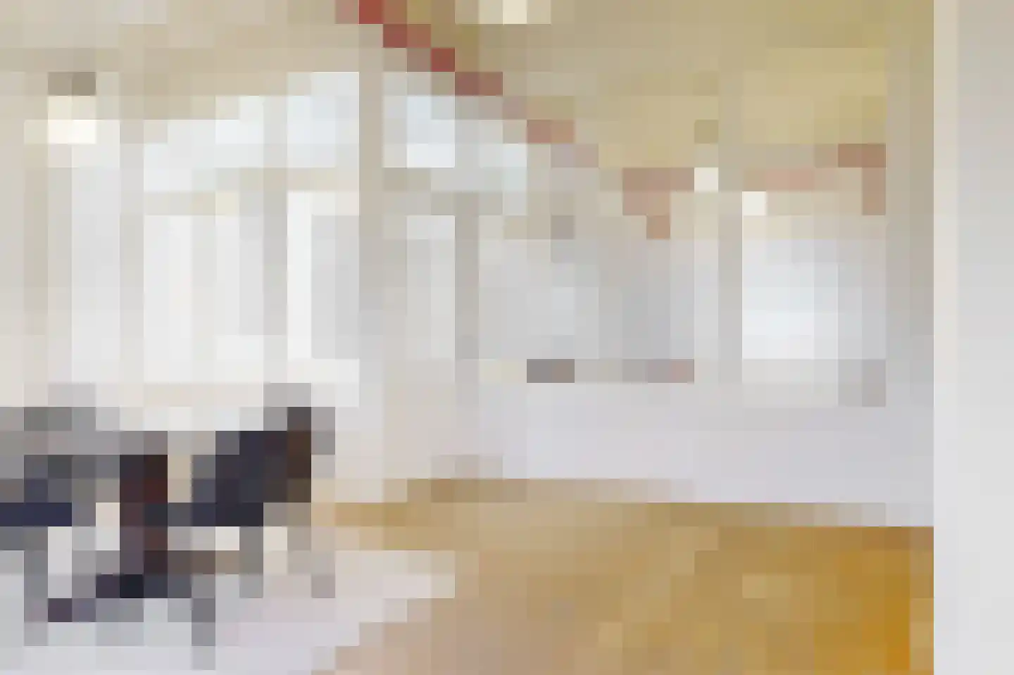 Koningslaan 60 Utrecht thumbnail 46