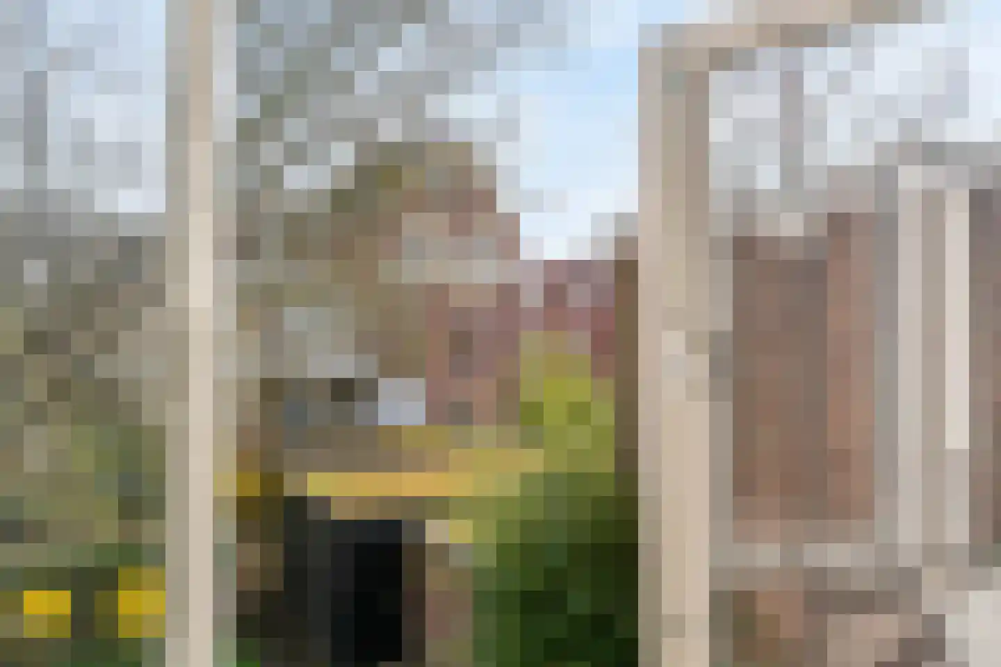 Koningslaan 60 Utrecht thumbnail 52