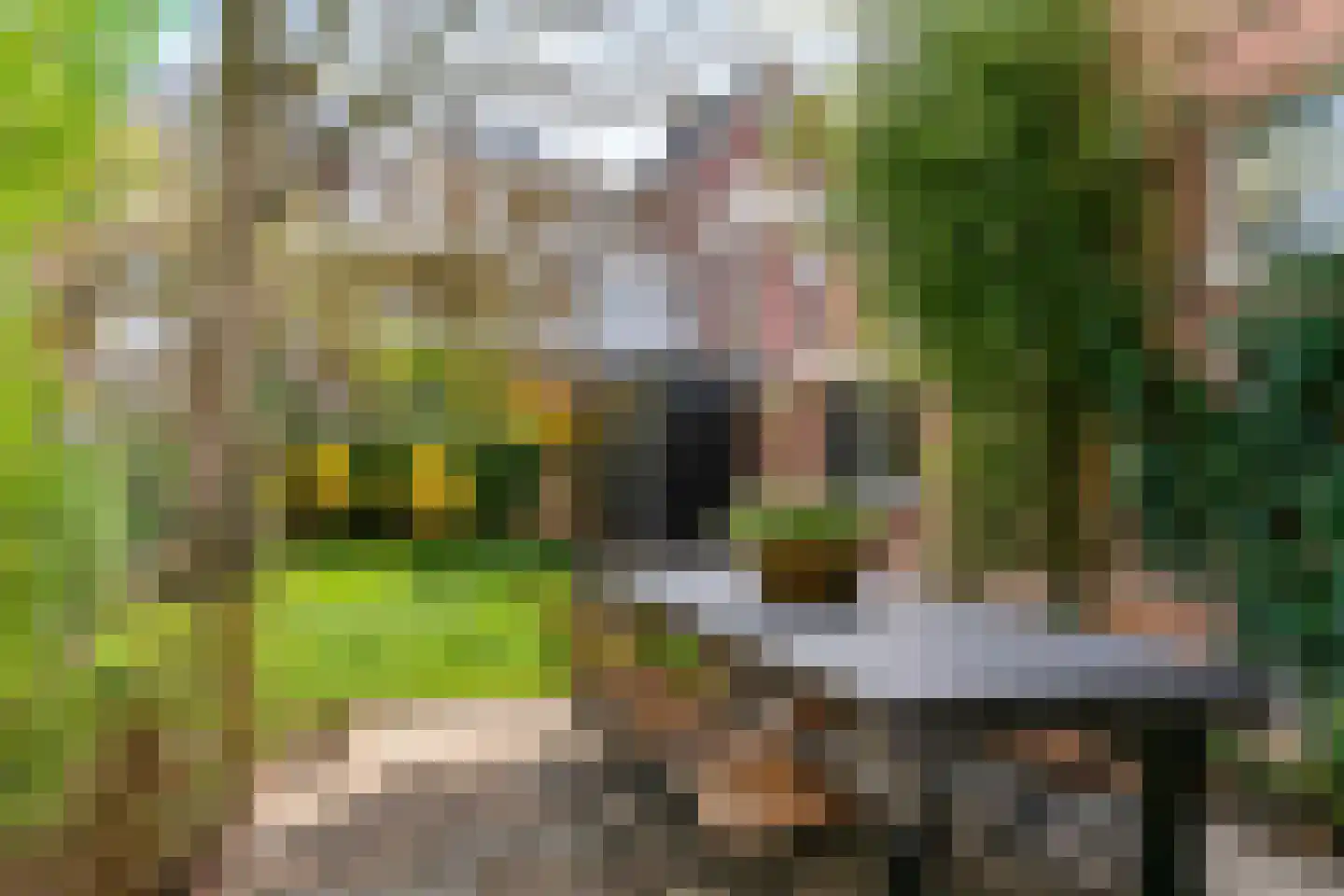 Koningslaan 60 Utrecht thumbnail 53