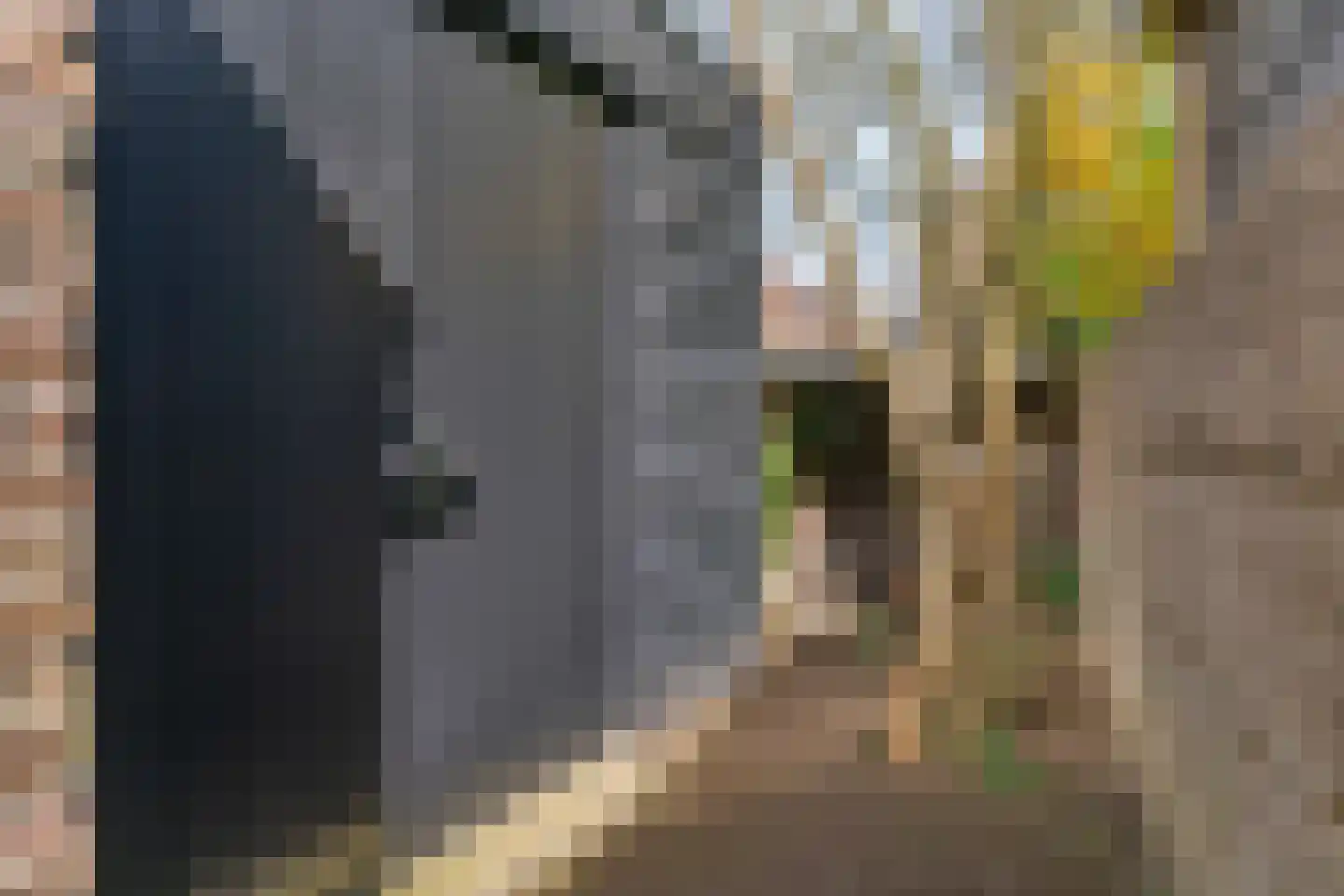 Koningslaan 60 Utrecht thumbnail 56