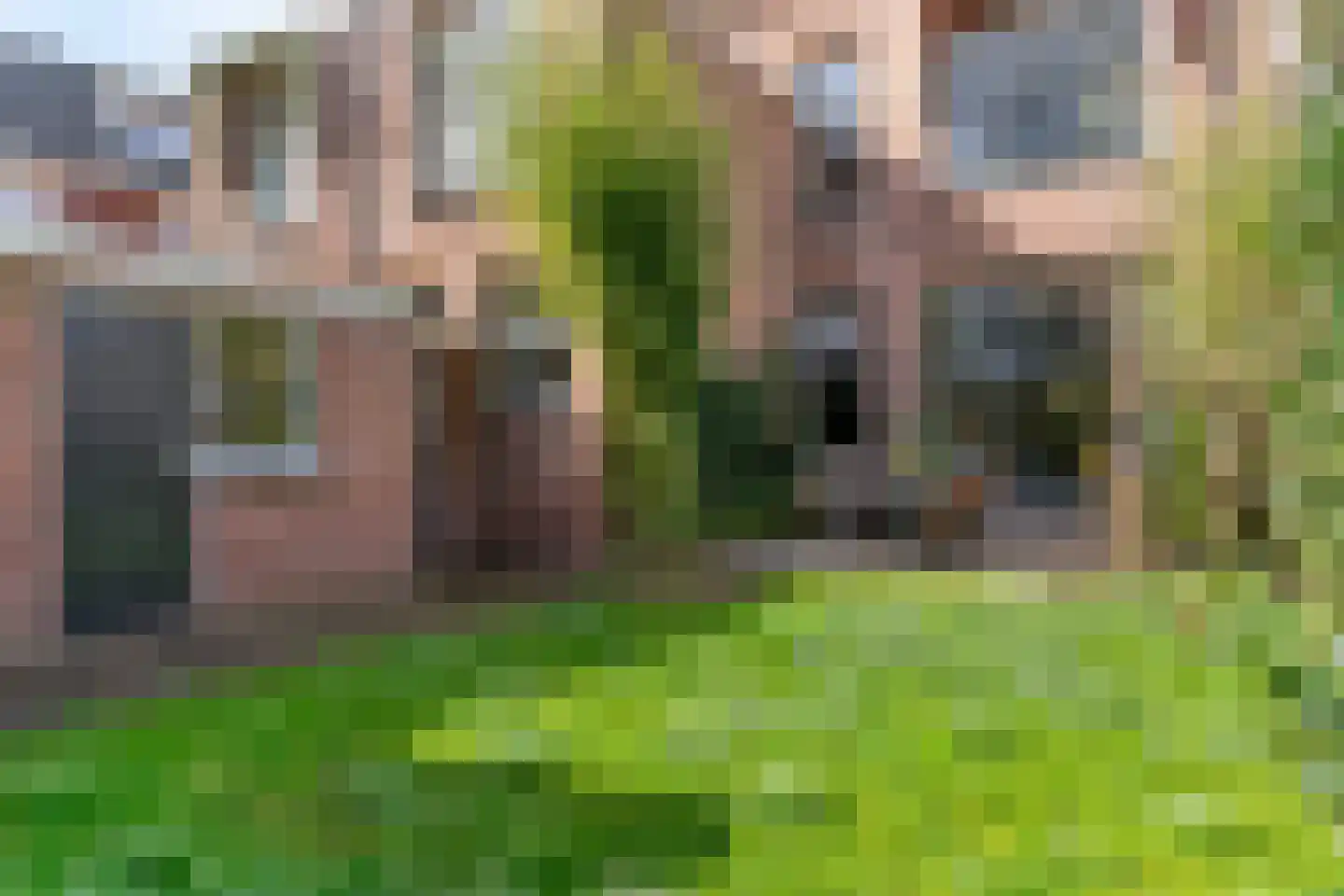 Koningslaan 60 Utrecht thumbnail 60