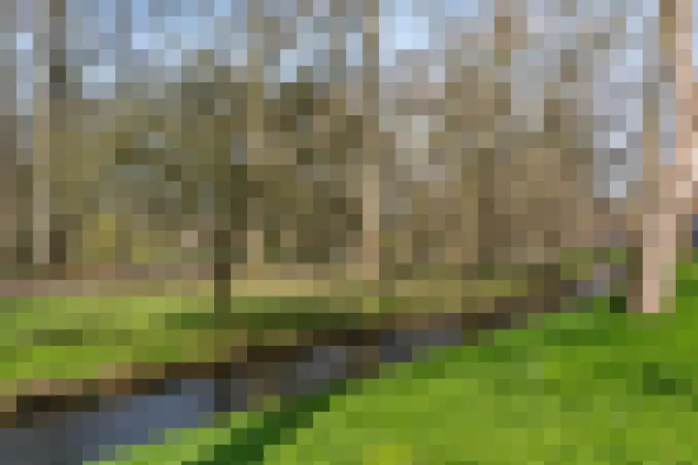 Koningslaan 60 Utrecht thumbnail 62