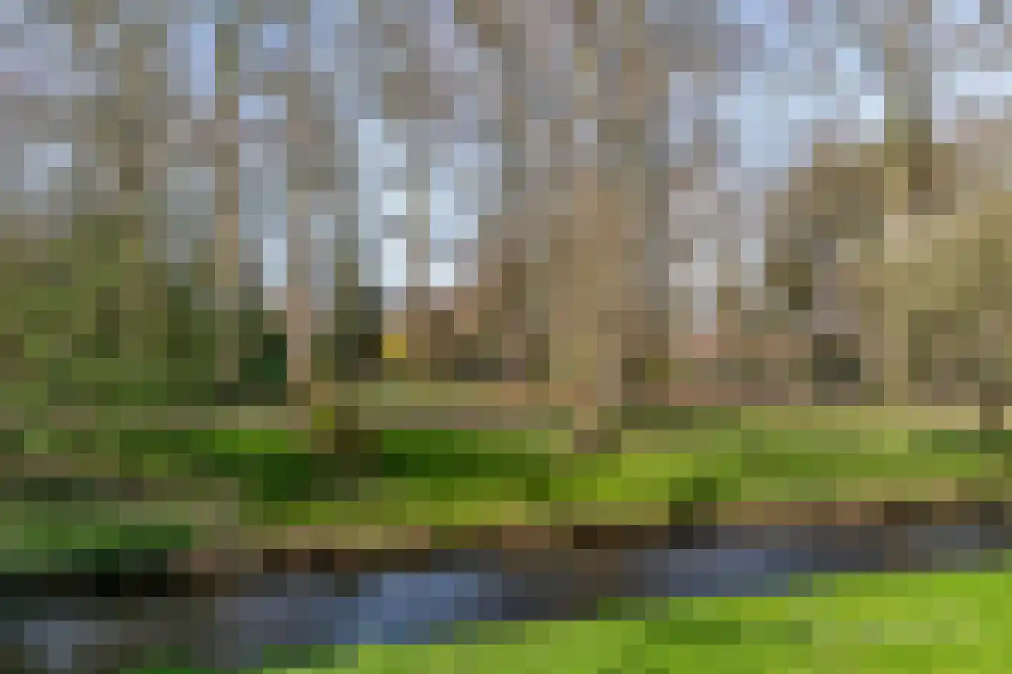 Koningslaan 60 Utrecht thumbnail 63