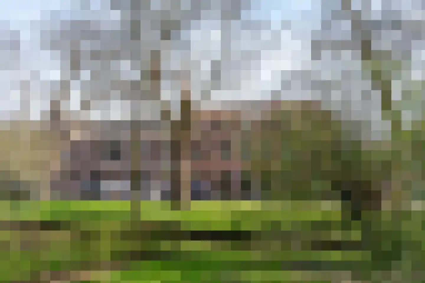 Koningslaan 60 Utrecht thumbnail 66