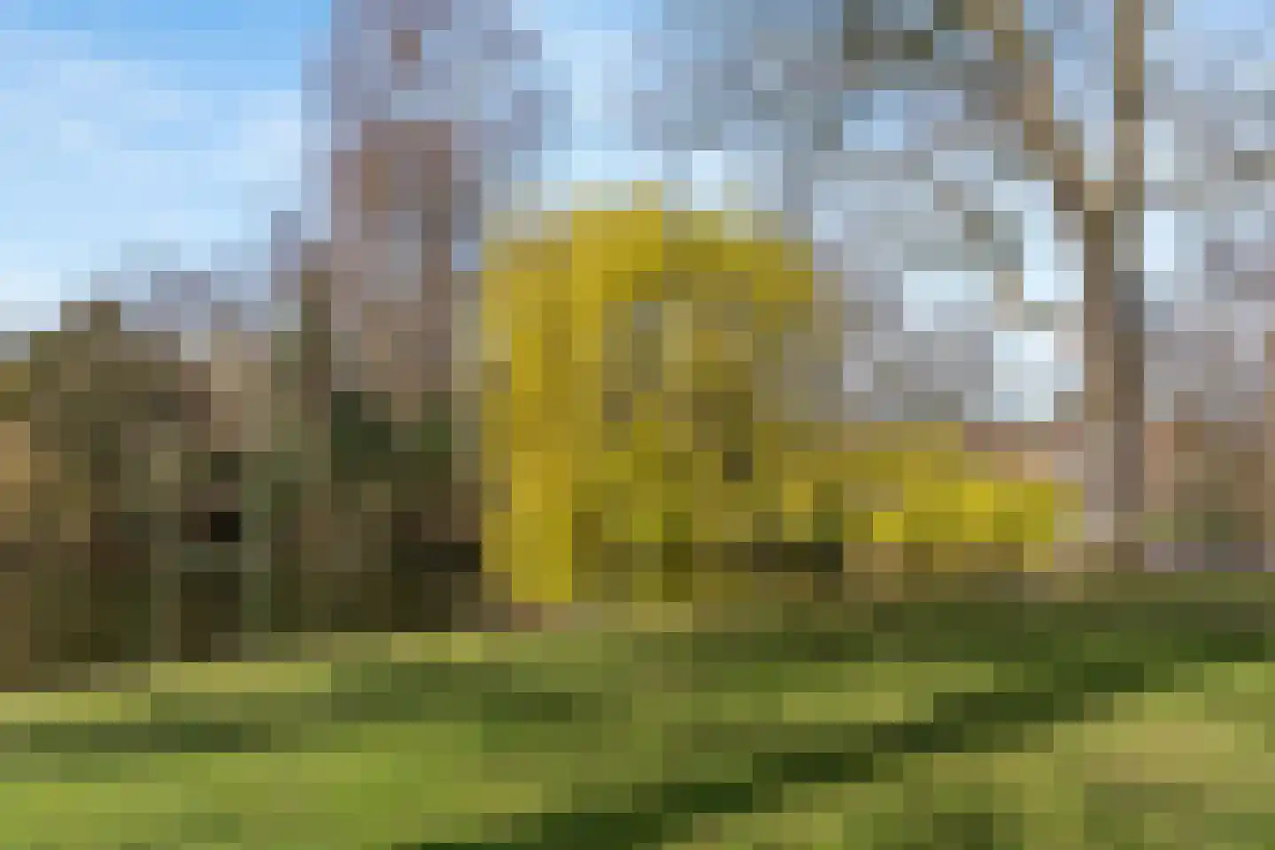 Koningslaan 60 Utrecht thumbnail 68