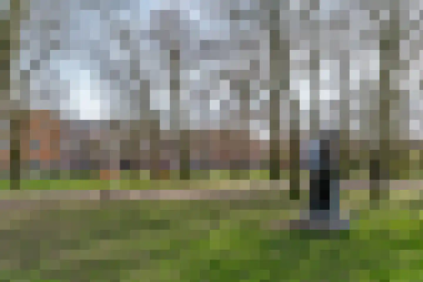 Koningslaan 60 Utrecht thumbnail 71