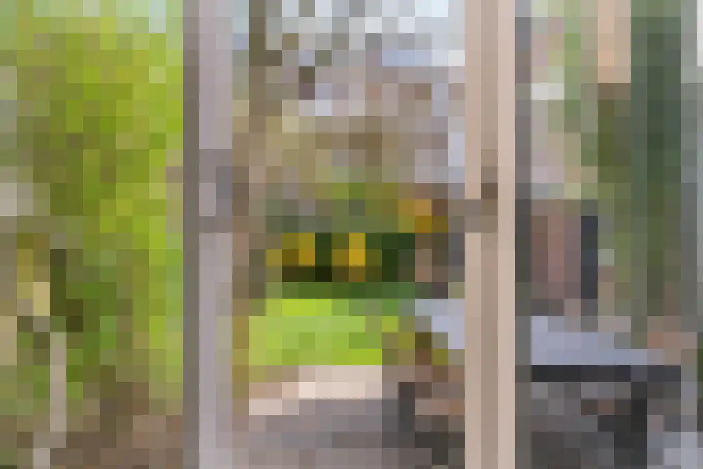 Koningslaan 60 Utrecht thumbnail 8