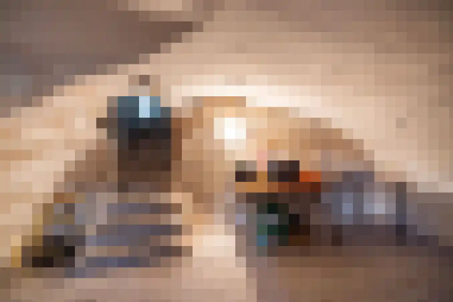 Koningslaan 7 Bunnik thumbnail 20