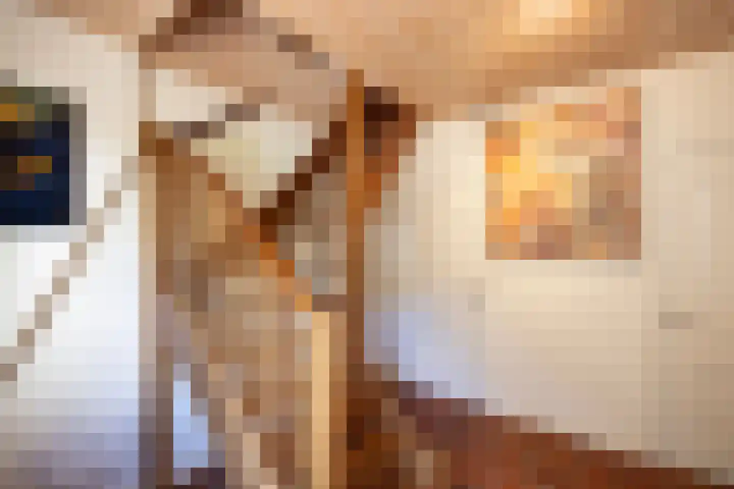 Koningslaan 7 Bunnik thumbnail 22
