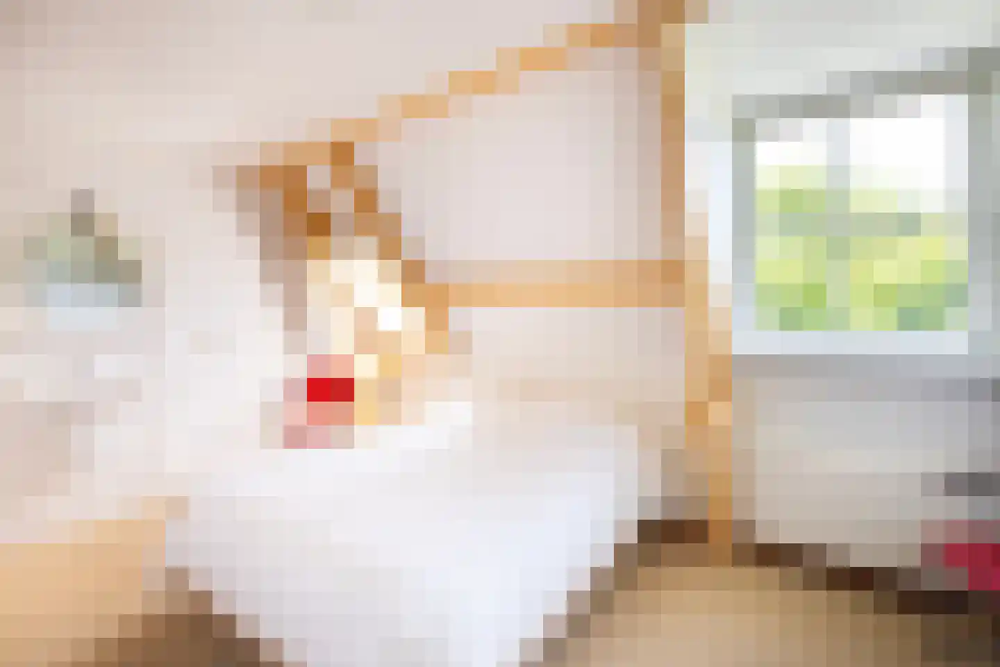 Koningslaan 7 Bunnik thumbnail 24