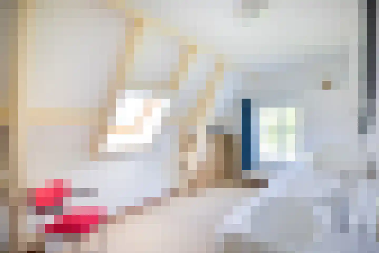 Koningslaan 7 Bunnik thumbnail 26