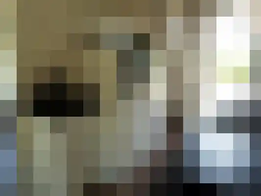 Koningslaan 7 Bunnik thumbnail 33
