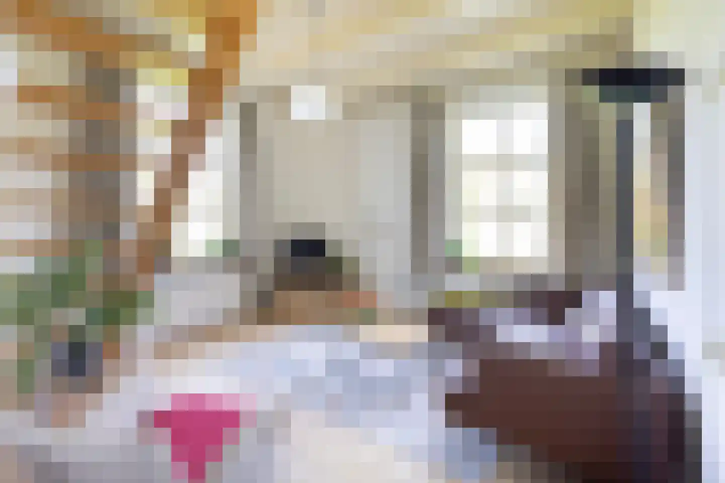 Koningslaan 7 Bunnik thumbnail 38