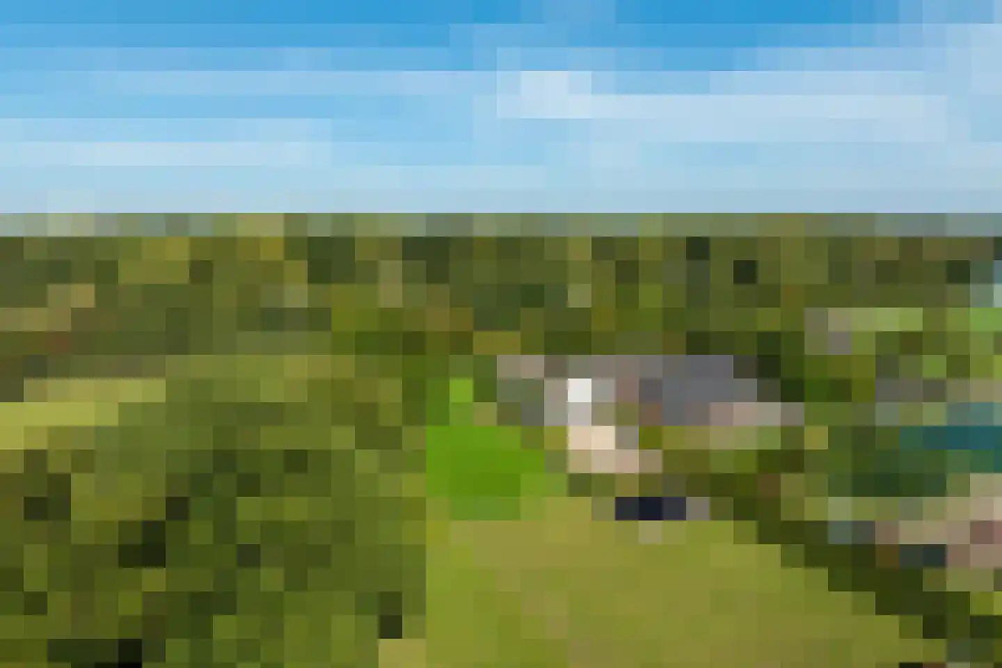Koningslaan 7 Bunnik thumbnail 42