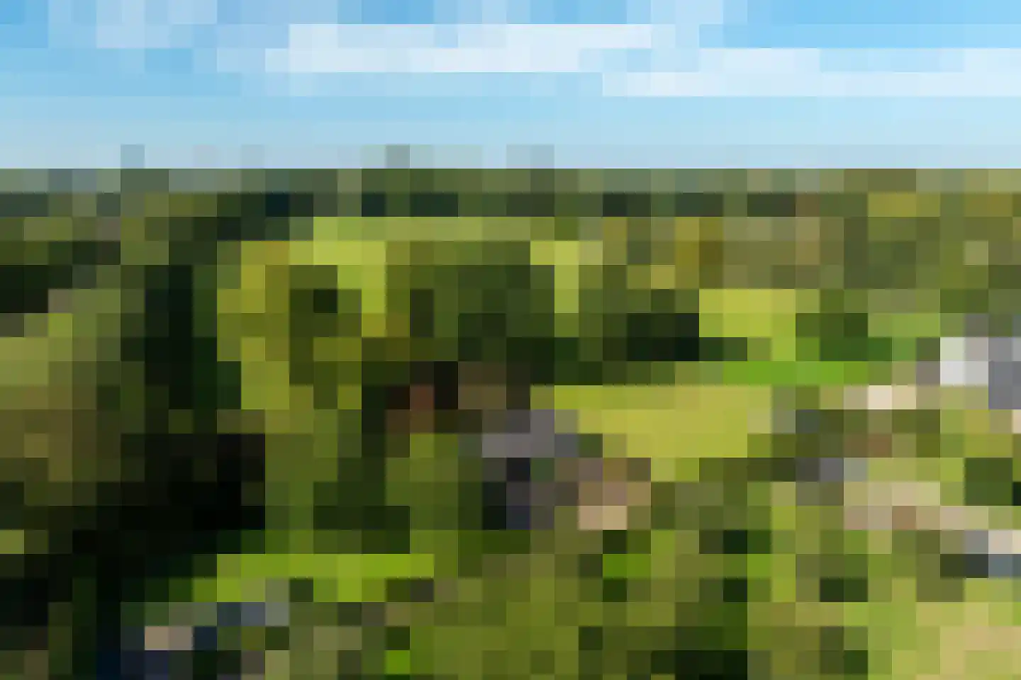 Koningslaan 7 Bunnik thumbnail 43